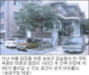 ［metro선 지금］담장 사라진 송파구 주택가