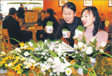 커피 먹은 꽃