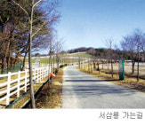 ［길］새 아침‘통일로 가는 길’