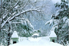 ［길에서 길을 묻다］(12)황태와 백담사