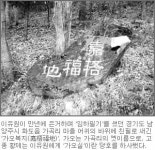 이유원著 ‘임하필기’ 한글완역 출간