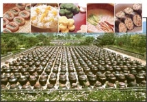 ［전통의 맛을 찾아서］(1)웰빙 슬로푸드가 뜬다