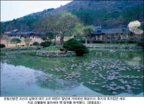 “진도는 섬이다. 그 섬에 가고 싶다”