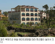 [현장패트롤] 8실이상 숙박업신고 이달이 기한