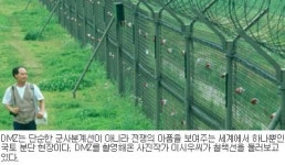 ［테마여행］가로막혀 더 애절한 곳…파주·문산 DMZ