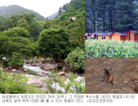 [그린투어리즘] ⑤충북 단양 하드미마을