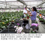 호접란 수출사업 지자체 희비