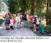 애시의 특별한 그린투어