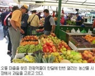 프랑스 그린투어, 호텔없어 대부분 민박
