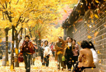 [노래, 그곳을 가다](4)이문세·이수영 ‘광화문 연가’