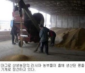 연해주에 일군 미래 식량보고