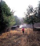 [커버스토리]시간이 고인 곳-정선