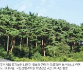 [숲이 희망이다] 30. 유물로서의 숲