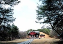 [숲으로](31)구리 ‘동구릉’