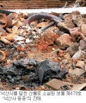 [낙산사 르포] 동종소리 멈춘 자리엔 그을린 석탑만 힘겹다