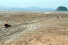 [트래블]물오른 봄, 살 오른 바다…서산 갯마을
