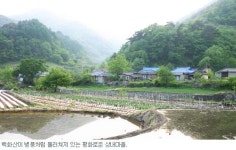 [그린 어메니티] 15. 경북 문경 상내마을