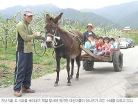 [그린 어메니티] 18. 경북 영주 부석권역