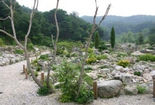 [그린 어메니티] 23. 포천 우물목마을