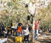 [그린 어메니티] 33. 경북 청도 성곡리