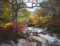 [여기 어때!] 지리산 피아골