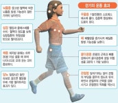[웰빙 인 스포츠]  “그냥 하루 10리 걸었수”
