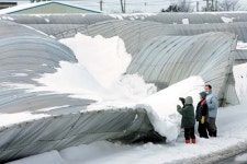 호남 폭설, 축사등 붕괴…정읍 47㎝