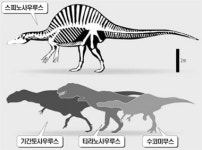 가장 큰 육식공룡은 스피노사우루스