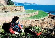 [우리 산하를 다시 걷다] 제2부-10. 경남 남해 해토머리 풍경