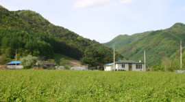 [新 그린어메니티］ 14. 횡성군 청일면 고라데이마을