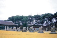 [트래블]성역의 숲에서 소풍을 즐기다