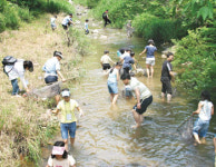 [新 그린어메니티] 쪽대 천렵하다 장뇌삼  ‘심봤다’