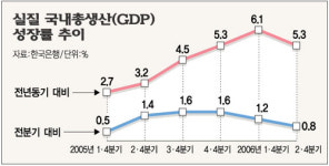 2분기 GDP 0.8%증가  ‘성장률 5분기만에 최저’