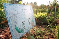 [그여자네 집]주말농장에서 맛보는 수확의 기쁨