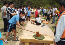 [新 그린어메니티] 31. 강원 강릉 해살이마을