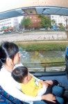 [포토다큐] 청계천 복원 1년