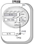 [386, 과학공부 다시합시다] 유전자가 말하는 시대