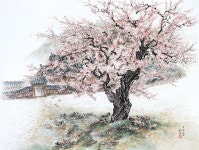 선암한국화연구소 | [경향 갤러리] 선암사의 봄