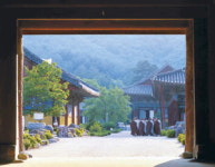 [한국의 숲, 한국의 명산](4) 경북 청도·경남 밀양 ‘운문산’