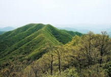 [한국의 숲, 한국의 명산](5)충남 청양 칠갑산