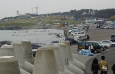 울주 간절곶공원 훼손 심각