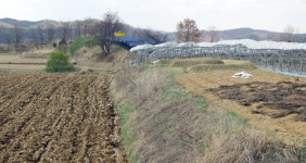 [민통선 문화유산 기행](10) 파주 주월리 육계토성(上)