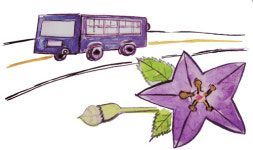 [시골편지] 뛰뛰빵빵 군내버스