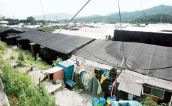 [2007 한국인의 자화상] “서민아파트 짓는다며 서민 쫓아내”