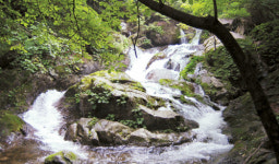 [한국의 숲, 한국의 명산](12) 경기 가평군 명지산