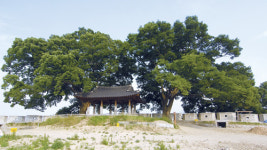 [한강을 걷다](46) 연미정·불장돈대