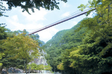 [한국의 숲, 한국의 명산](14) 전북 순창·전남 담양 경계 ‘강천산’