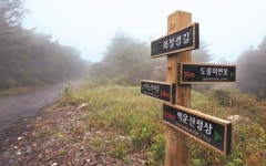 [트래블]‘자무시’로 석탄 나르던, 이젠 정취를 나르는 운탄길
