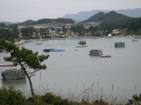 [희망의 그물짜기](65)해남 내장마을－죽산정보(주)