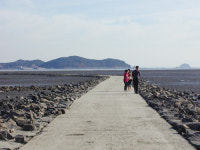 [희망의 그물짜기](66)안산 말부흥마을－정리금융공사